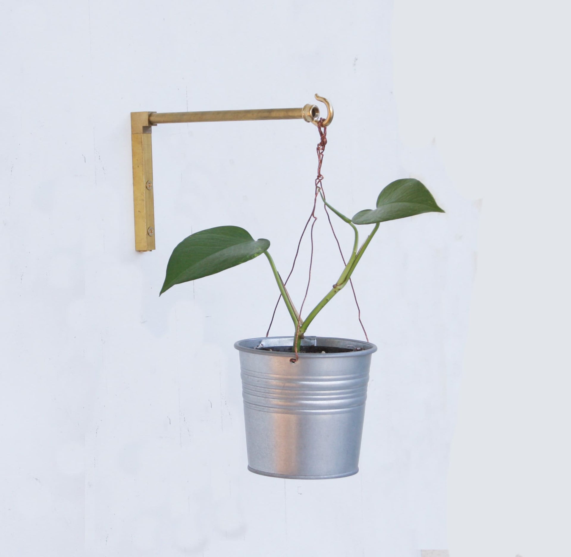 brass plant hanger Solid brass planter hanger-Brass wall hanger-Brass wall hook-Brass pla